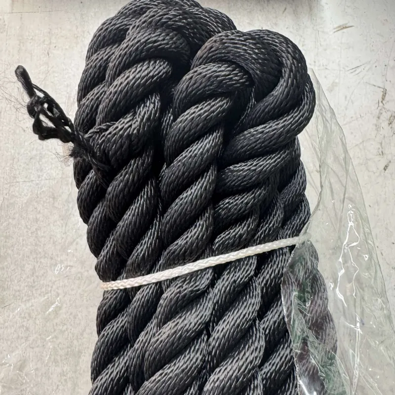 Corde polyester noire WERKA PRO (20 mètres)