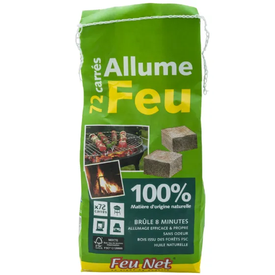 Allume feu à gaz avec souffleur intégré - Provence Outillage