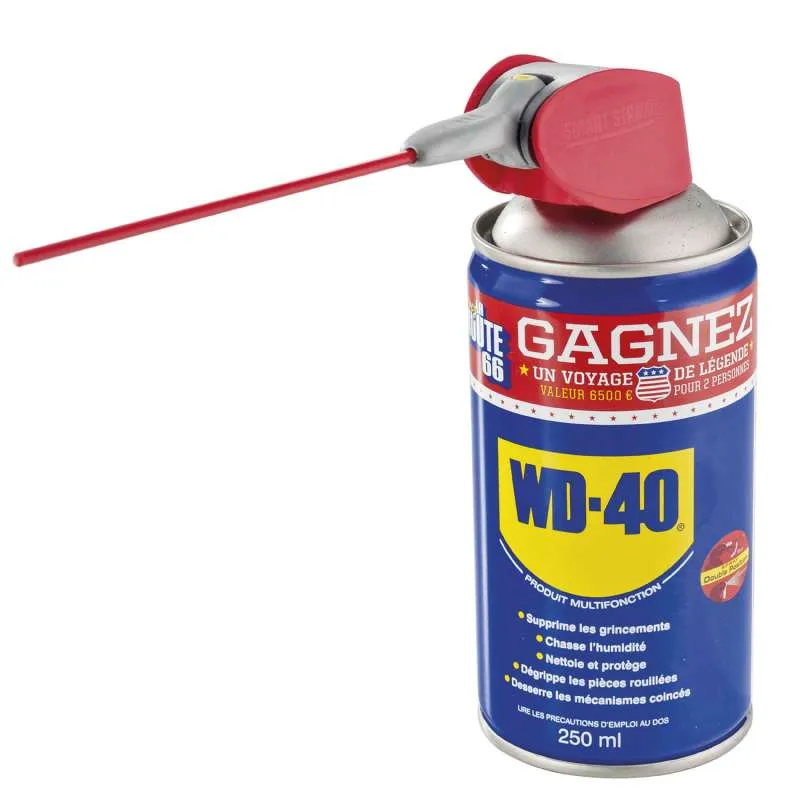 WD-40 Double Position Spray 250 ML