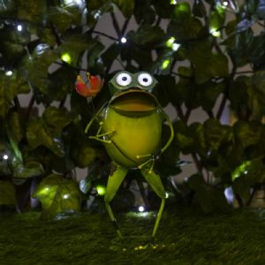 Grenouille solaire 2 LED blanches