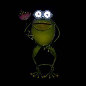 Grenouille solaire 2 LED blanches