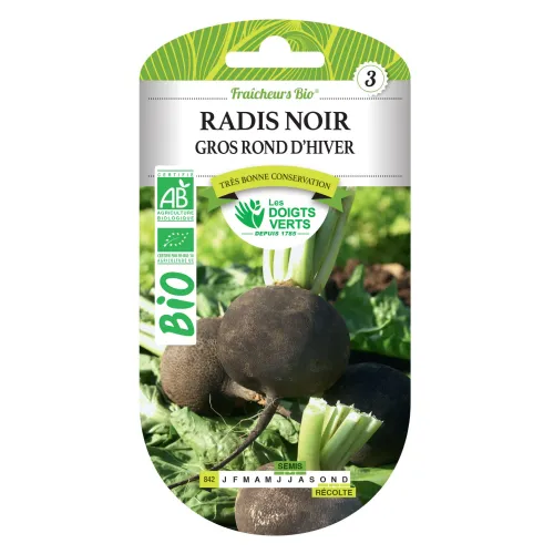 Radis Noir Gros rond d'hiver bio - L'atelier des bons plants