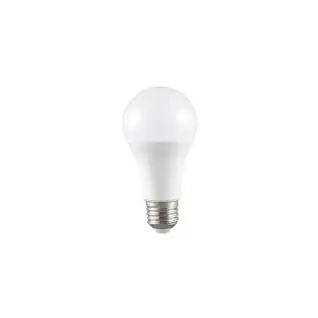 Ampoule LED A60 11W E27