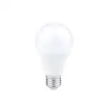 Ampoule LED A60 13W E27