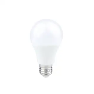 Ampoule LED A60 13W E27