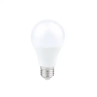 Ampoule LED A60 13W E27