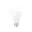 Ampoule LED A60 13W E27