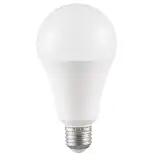 Ampoule LED A60 15W E27