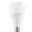 Ampoule LED A60 15W E27