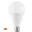 Ampoule LED A60 15W E27