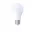 Ampoule LED Détecteur Crépusculaire 9W E27