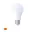 Ampoule LED Détecteur Crépusculaire 9W E27