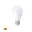 Ampoule LED avec Capteur de Présence 9W E27