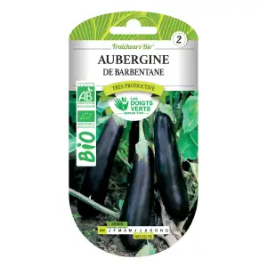 Graines aubergine de Barbentane BIO Les Doigts Verts