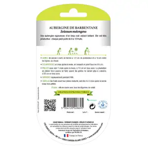 Graines aubergine de Barbentane BIO Les Doigts Verts