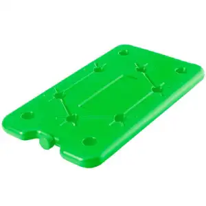 Bac réfrigéré vert pour glacière 25 x 14 cm