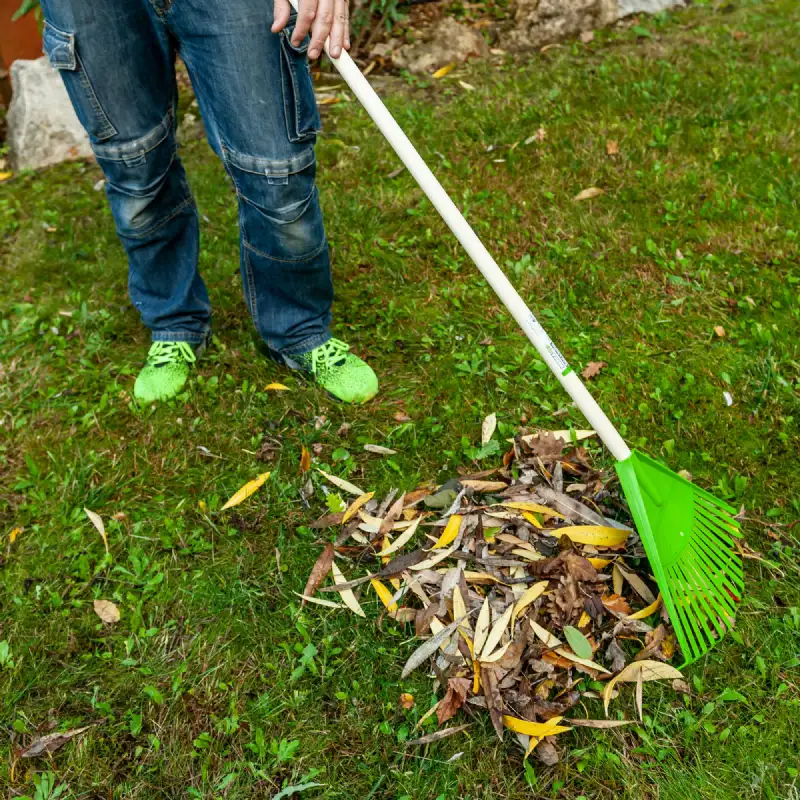 Balai à feuilles 16 dents  WERKA PRO