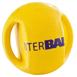 Balle interball pour chien ø17cm