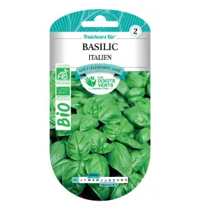 Graines Basilic italien BIO Les Doigts Verts