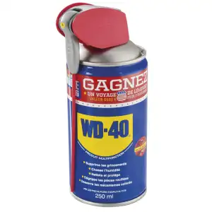 Bombe dégrippant double spray 250ml