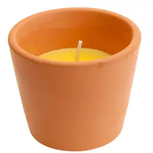 Bougie citronnelle+pot terre cuite 8x6cm