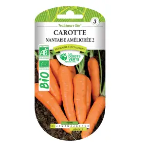 Graines Carotte nantaise améliorée 2 BIO Les Doigts Verts