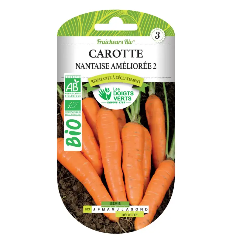 Graines Carotte nantaise améliorée 2 BIO Les Doigts Verts