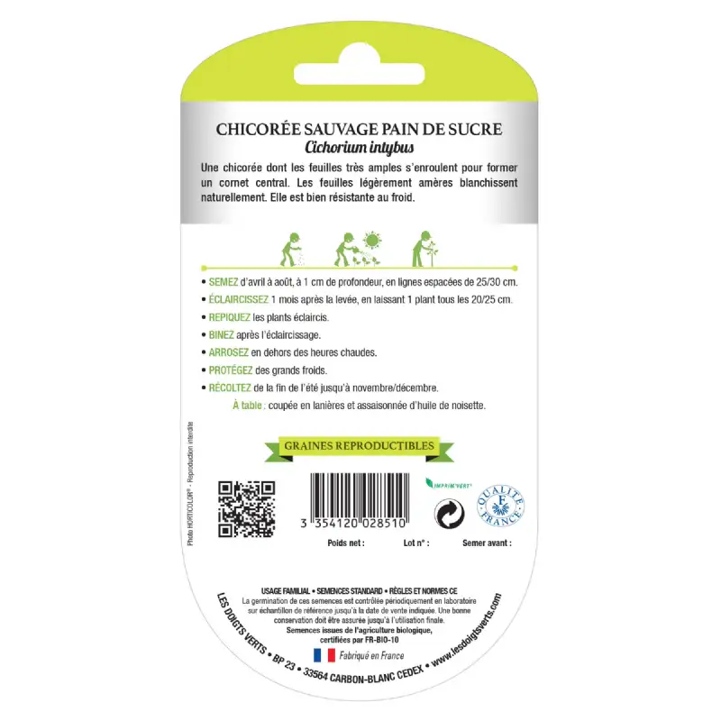 Chicorée sauvage pain de sucre bio Les Doigts Verts