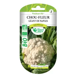 Graines Chou-fleur géant de Naples BIO Les Doigts Verts