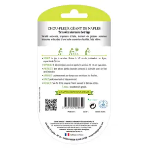 Graines Chou-fleur géant de Naples BIO Les Doigts Verts