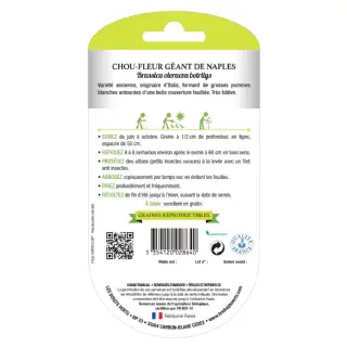 Graines Chou-fleur géant de Naples BIO Les Doigts Verts