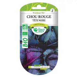 Graines chou rouge tête noire BIO Les Doigts Verts