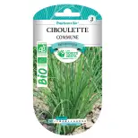 Graines ciboulette fine danoise BIO Les Doigts Verts