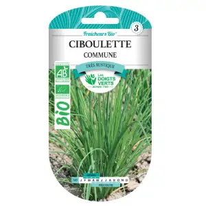 Graines ciboulette fine danoise BIO Les Doigts Verts