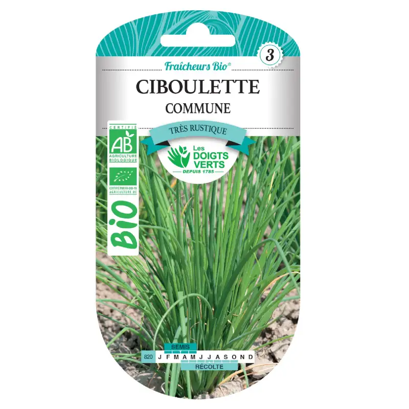 Graines ciboulette fine danoise BIO Les Doigts Verts