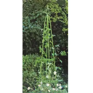 Colonne florale de jardin