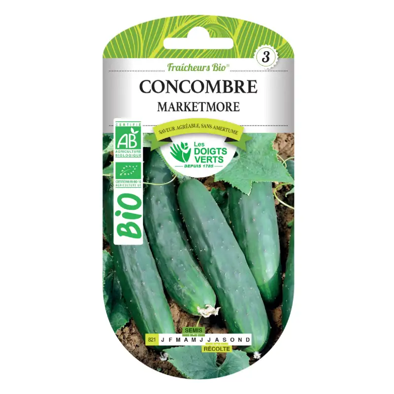 Graines concombre marketmore BIO Les Doigts Verts