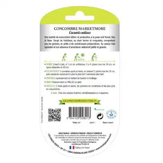 Graines concombre marketmore BIO Les Doigts Verts