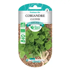 Graines Coriandre cultivée BIO Les Doigts Verts