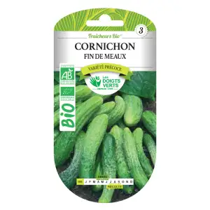 Graines cornichon fin de Meaux BIO Les Doigts Verts