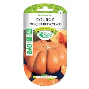 Graines courge musquée Provence BIO Les Doigts Verts