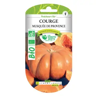 Graines courge musquée Provence BIO Les Doigts Verts