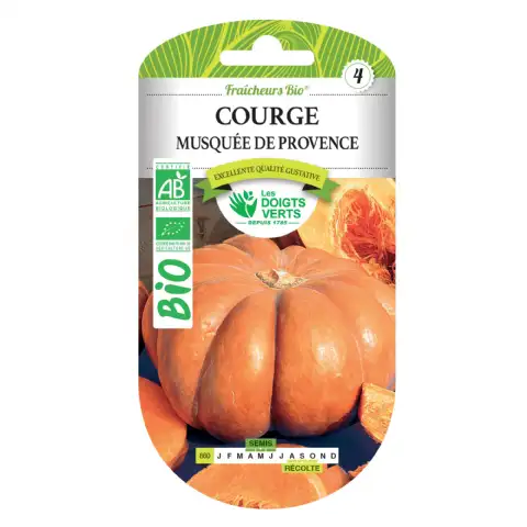 Graines courge musquée Provence BIO Les Doigts Verts