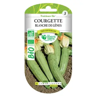 Graines courgette blanche de Gênes BIO Les Doigts Verts