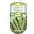 Graines courgette blanche de Gênes BIO Les Doigts Verts