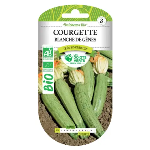 Graines courgette blanche de Gênes BIO Les Doigts Verts