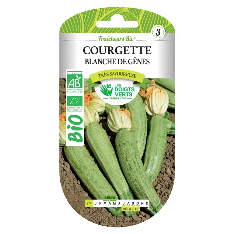 Graines courgette blanche de Gênes BIO Les Doigts Verts