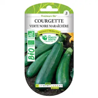 Graines courgette verte noire maraîchère BIO Les Doigts Verts