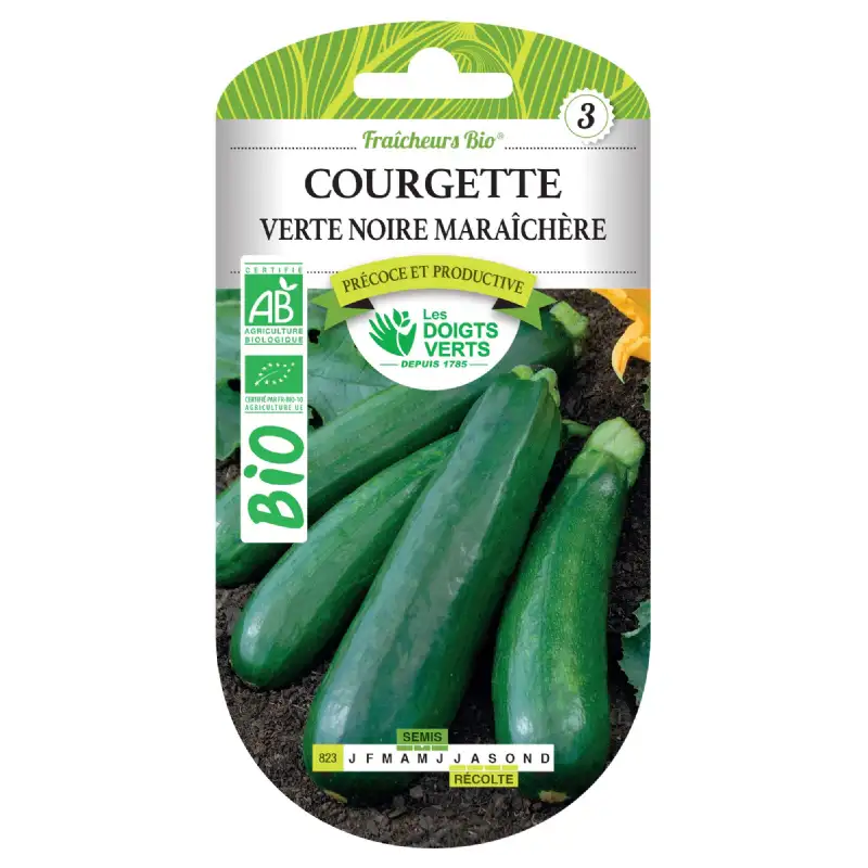 Graines courgette verte noire maraîchère BIO Les Doigts Verts