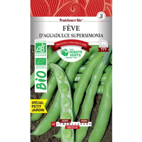 Graines fèves d'Aguadulce Supersimonia BIO Les Doigts Verts